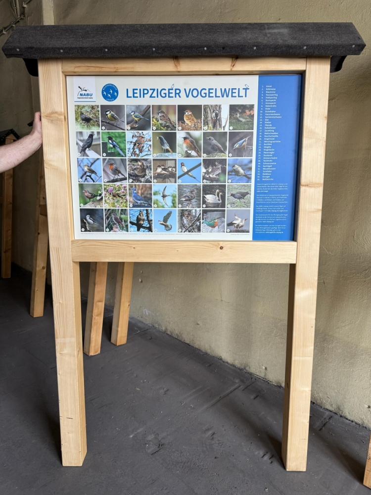 Entdeckt unsere gefiederten Nachbarn